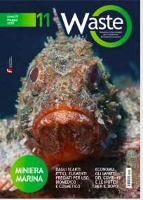 Waste n. 11  Maggio 2020