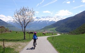 Mobilità sostenibile in Piemonte 