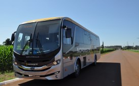 30 Telai 17-280 Euro VI di Iveco Bus per il Brasile